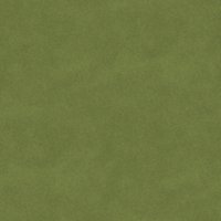 Asset preview